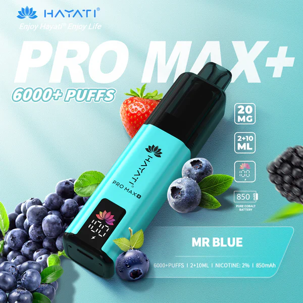Mr Blue Hayati Pro Max Plus 6000 – Buy this for just £8.95
